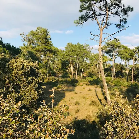 Apartmán Lumiere Et Ocean, T3 Face