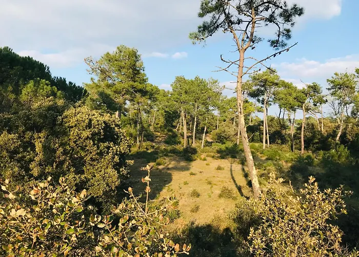 דירה Lumiere Et Ocean, T3 Face